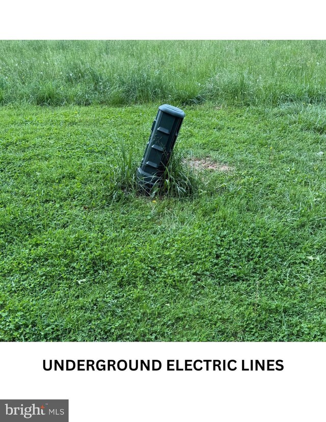 caption unavailable