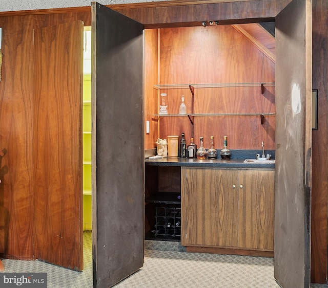 bar featuring a sink, carpet floors, and wet bar