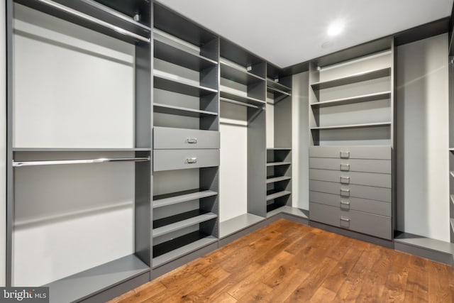 walk in closet with dark wood-style floors
