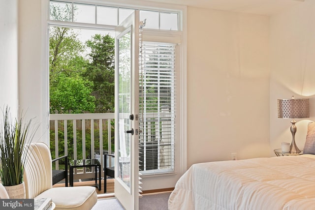 14184 Haro Trl, Gainesville, VA 20155 - view of bedroom