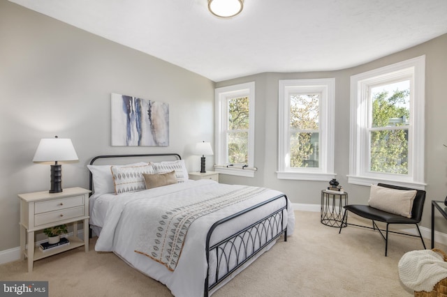 bedroom featuring baseboards, multiple windows, and carpet
