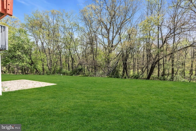 view of yard with a patio area