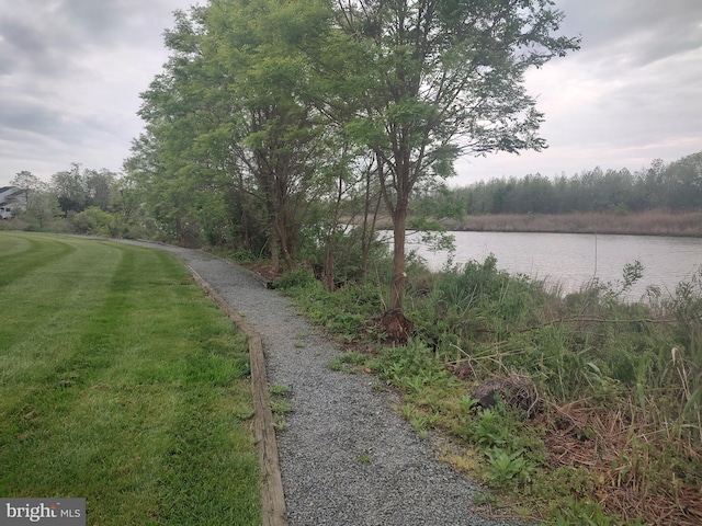 341 Creekside Commons Ct, Stevensville, MD 21666 - view of street with a water view