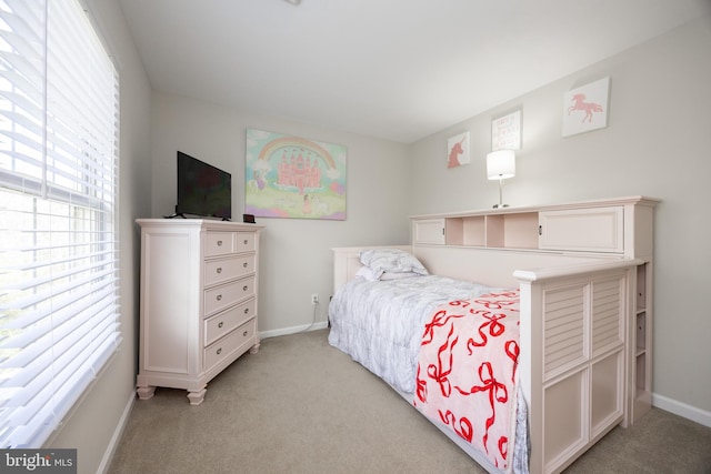 110 Mulberry Ct, Morgantown, PA 19543 - bedroom featuring light carpet and baseboards