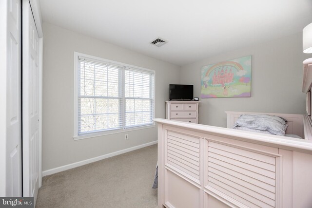 110 Mulberry Ct, Morgantown, PA 19543 - bedroom featuring baseboards and carpet flooring