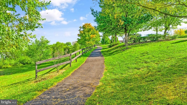 view of home's community with a yard