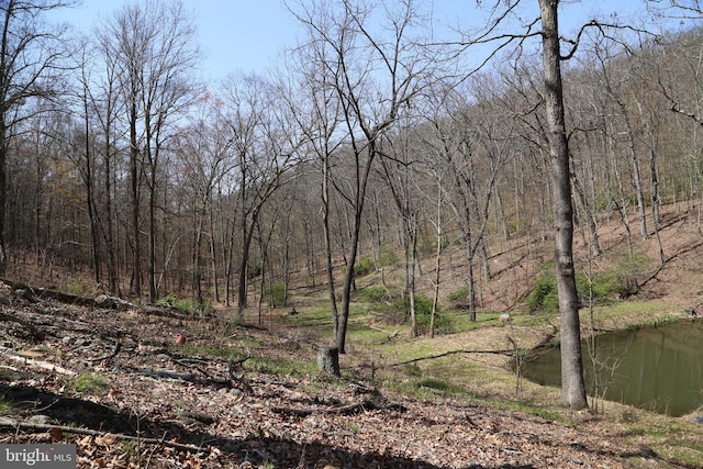4423 High Knob Rd, Old Fields, WV 26845 - view of tree filled area