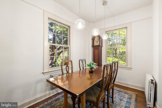 dining area featuring baseboards, dark wood-style flooring, plenty of natural light, and radiator heating unit