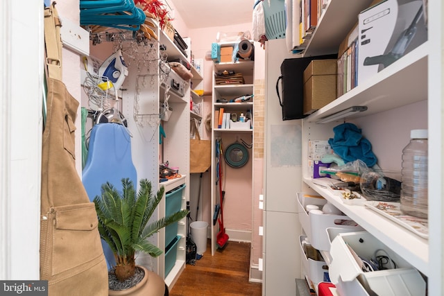 spacious closet featuring wood finished floors