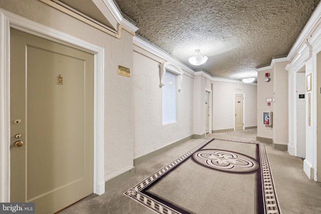 hall with crown molding and a textured ceiling