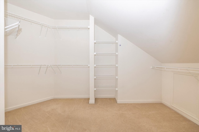 430 Timbermill Run, Emmitsburg, MD 21727 - walk in closet with carpet floors and lofted ceiling