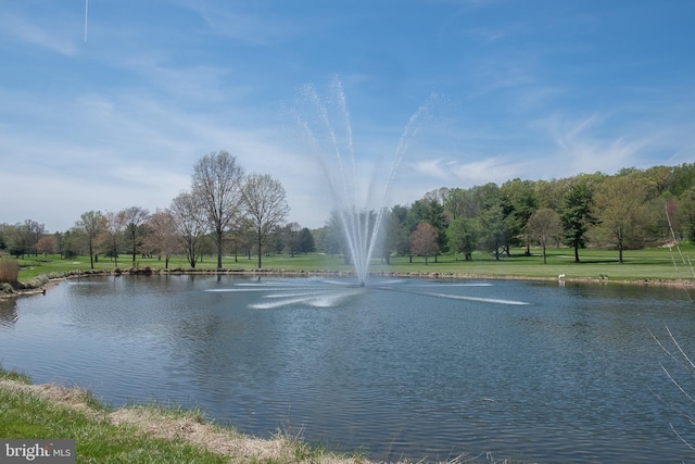 2609 Turf Valley Rd, Ellicott City, MD 21042 - view of water feature