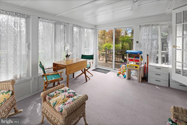 13 Morningside Dr, Pennington, NJ 08534 - sunroom featuring carpet flooring