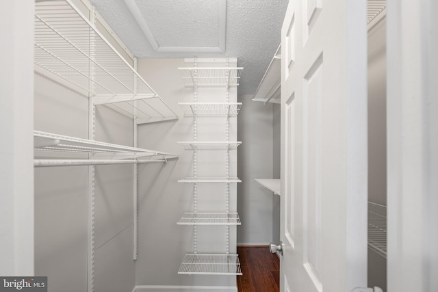 walk in closet with wood finished floors