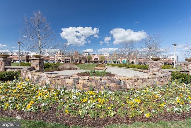 42265 Hampton Woods Ter, Brambleton, VA 20148 - view of property's community