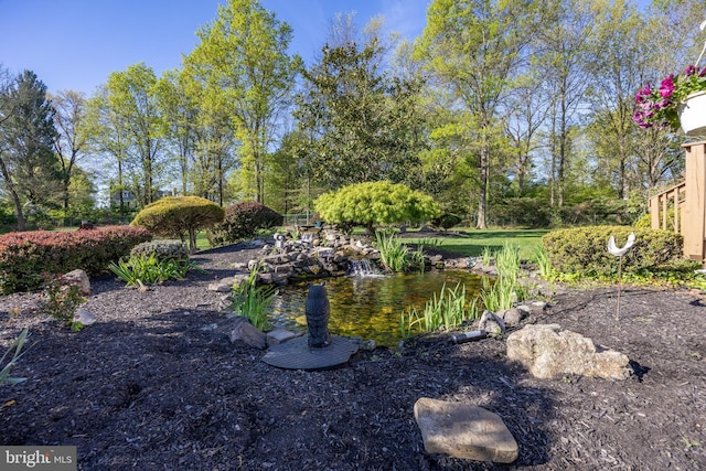 view of yard with a garden pond