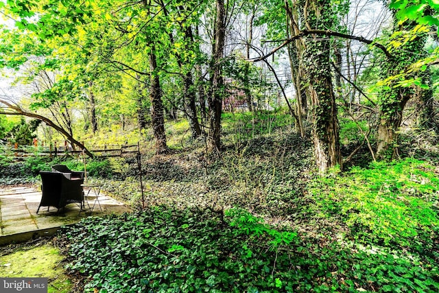 424 Hillside Rd, New Cumberland, PA 17070 - view of yard featuring fence