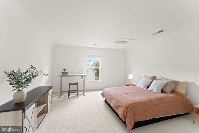17435 Lethridge Cir, Round Hill, VA 20141 - bedroom featuring attic access and light colored carpet