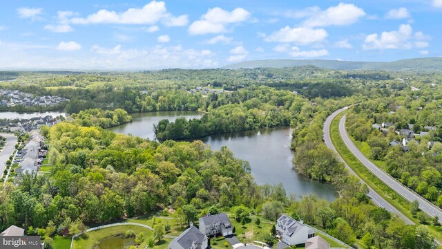 17435 Lethridge Cir, Round Hill, VA 20141 - aerial view of a heavily wooded area and a large body of water