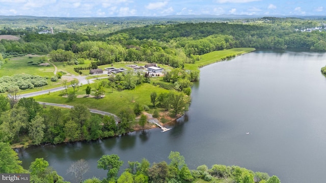 17435 Lethridge Cir, Round Hill, VA 20141 - aerial overview of property's location featuring a heavily wooded area and a nearby body of water