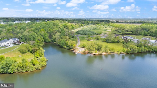 17435 Lethridge Cir, Round Hill, VA 20141 - drone / aerial view of a large body of water and a heavily wooded area
