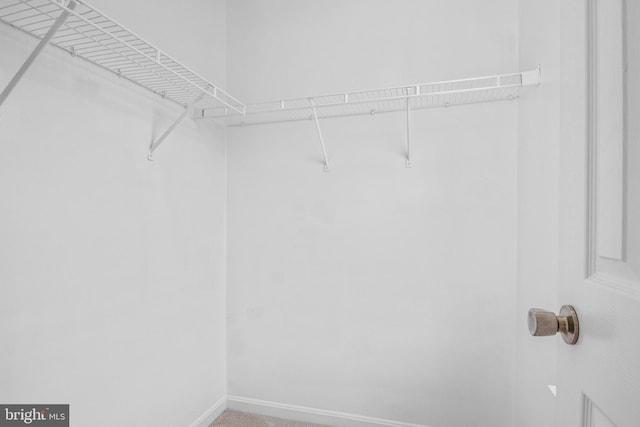 view of walk in closet