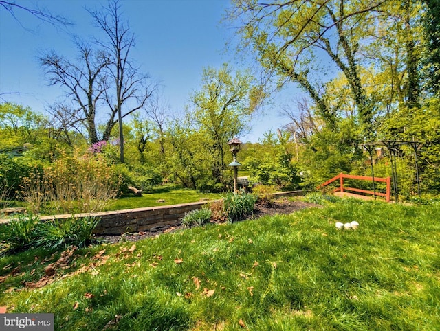 122 Lampeter Rd, Lancaster, PA 17602 - view of yard