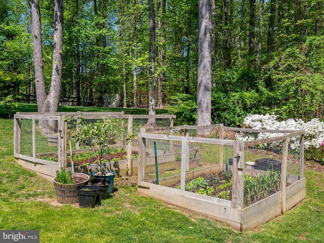 view of yard featuring a garden