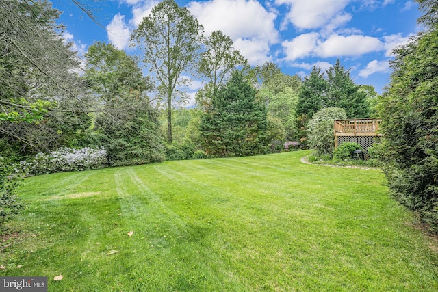 view of yard with a wooden deck