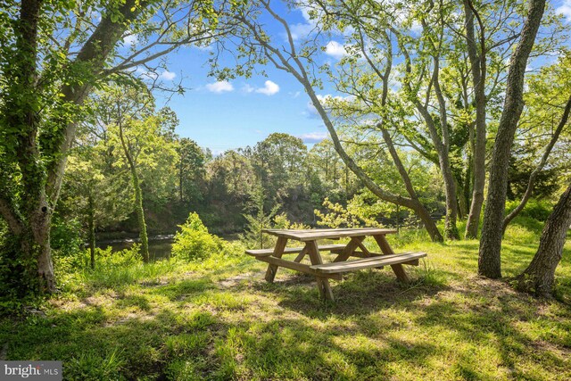43 Canal Landing Ct Unit 61, Rehoboth Beach, DE 19971 - surrounding community featuring a view of trees