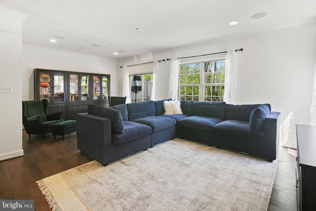 living area featuring crown molding, recessed lighting, and hardwood / wood-style floors