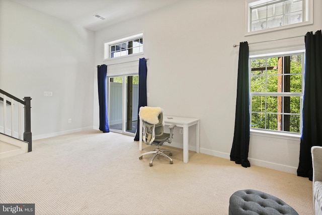 office area featuring baseboards, plenty of natural light, and carpet