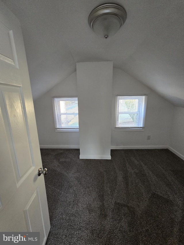 810 Mohn St, Harrisburg, PA 17113 - bonus room featuring dark carpet, vaulted ceiling, and plenty of natural light