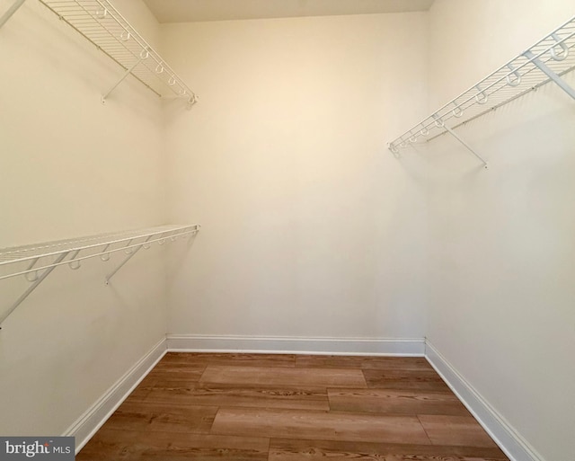 walk in closet with wood finished floors