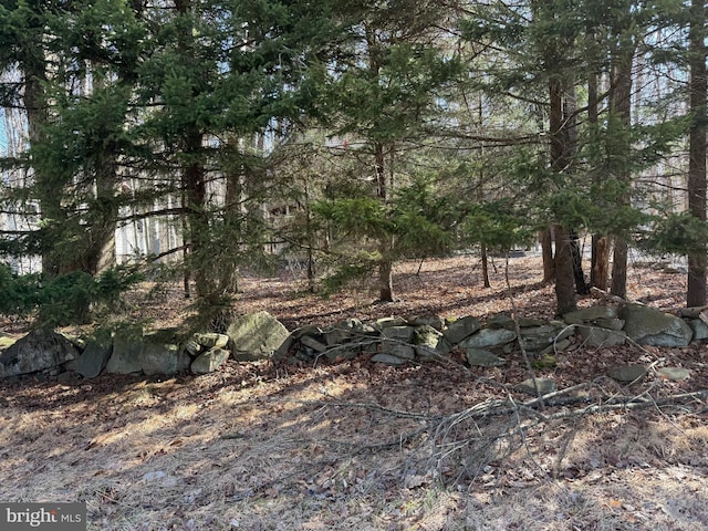 437 Orono Dr, Pocono Lake, PA 18347 - view of local wilderness