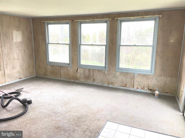 5781 N Timber Ridge Rd, Berkeley Springs, WV 25411 - empty room featuring carpet