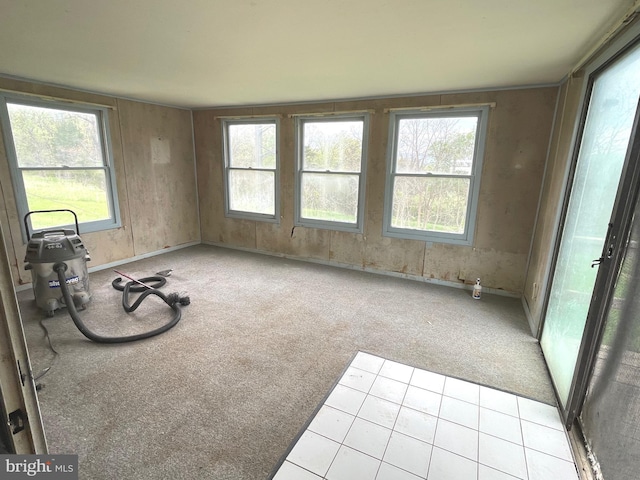 5781 N Timber Ridge Rd, Berkeley Springs, WV 25411 - interior space with carpet and a wealth of natural light