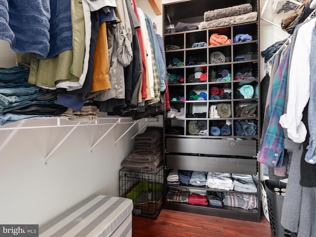 4437 Stonewall Jackson Hwy, Bentonville, VA 22610 - walk in closet with wood finished floors