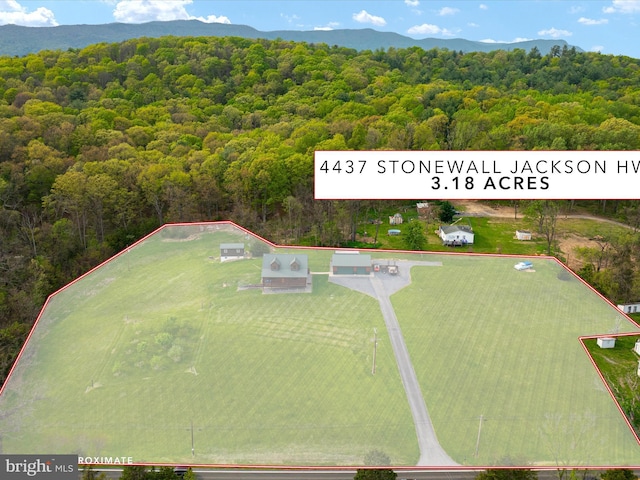 4437 Stonewall Jackson Hwy, Bentonville, VA 22610 - drone / aerial view featuring a mountain view and a view of trees