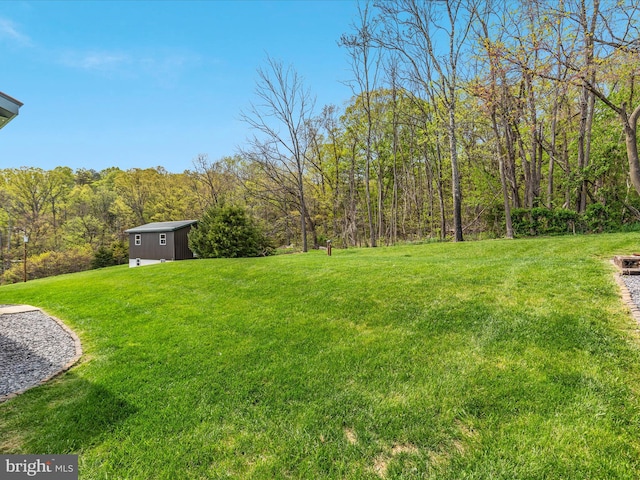 4437 Stonewall Jackson Hwy, Bentonville, VA 22610 - view of yard featuring an outbuilding, a forest view, and a storage unit