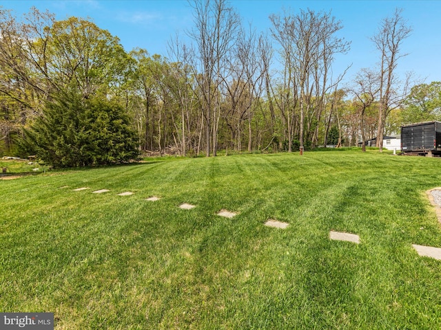 4437 Stonewall Jackson Hwy, Bentonville, VA 22610 - view of yard