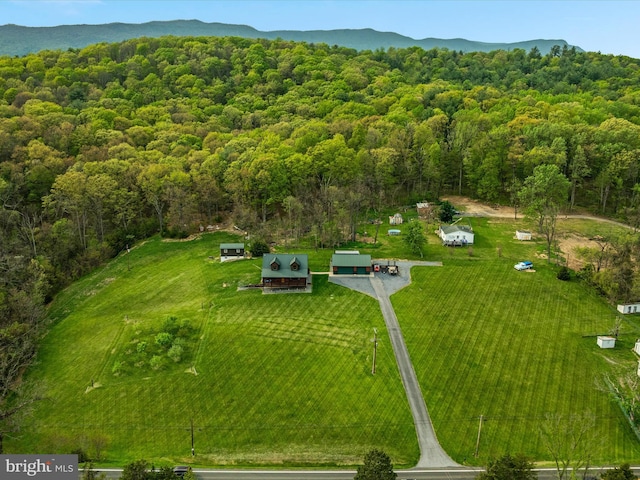 4437 Stonewall Jackson Hwy, Bentonville, VA 22610 - birds eye view of property featuring a rural view, a wooded view, and a mountain view