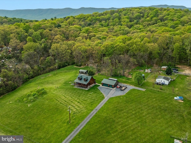 4437 Stonewall Jackson Hwy, Bentonville, VA 22610 - birds eye view of property featuring a forest view and a mountain view