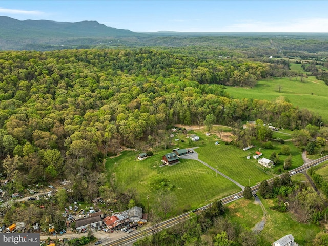 4437 Stonewall Jackson Hwy, Bentonville, VA 22610 - bird's eye view with a view of trees and a mountain view