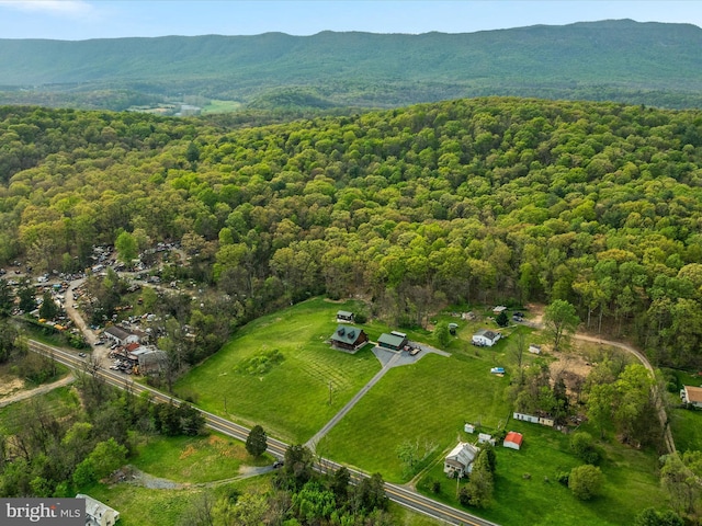 4437 Stonewall Jackson Hwy, Bentonville, VA 22610 - birds eye view of property featuring a view of trees and a mountain view