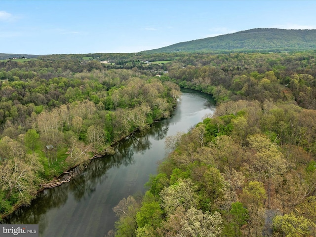 4437 Stonewall Jackson Hwy, Bentonville, VA 22610 - bird's eye view with a water and mountain view and a view of trees