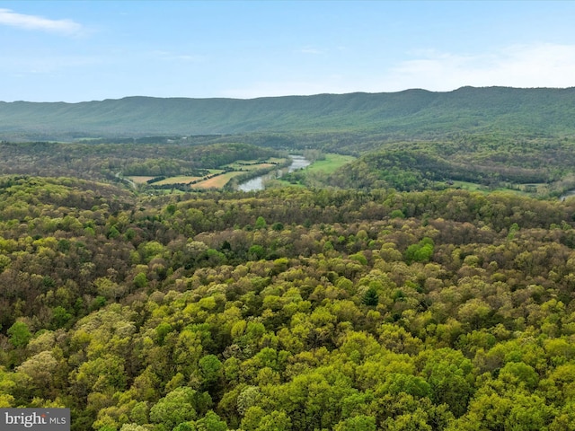 4437 Stonewall Jackson Hwy, Bentonville, VA 22610 - aerial view featuring a forest view and a mountain view