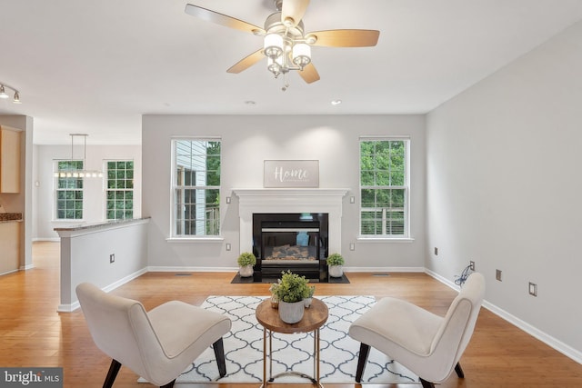 living room with plenty of natural light, light wood-style floors, baseboards, and ceiling fan