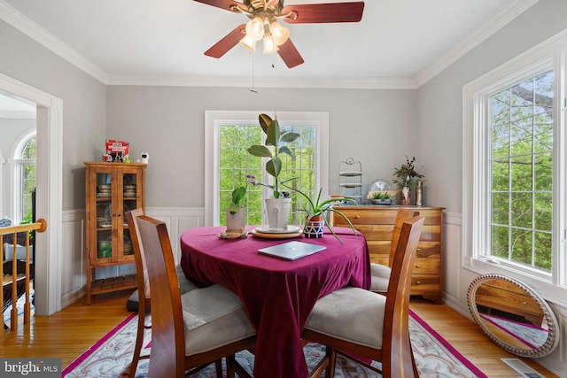 dining room featuring a wealth of natural light, light wood-style floors, ceiling fan, and a wainscoted wall