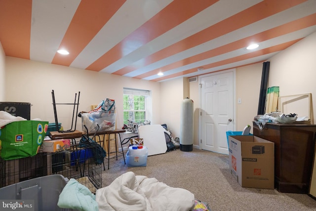 recreation room with carpet